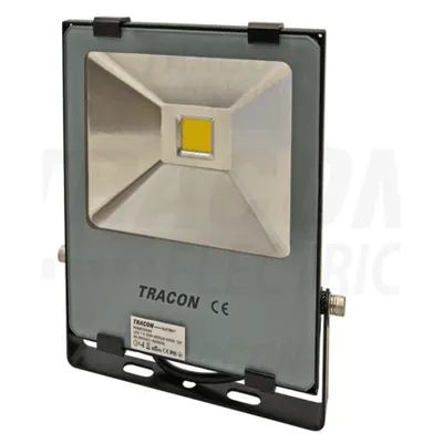 Proiector cu LED SMD RSMDS50W 100-240 V AC, 50 W, 4000 lm, 4500 K; IP65, EEI=A