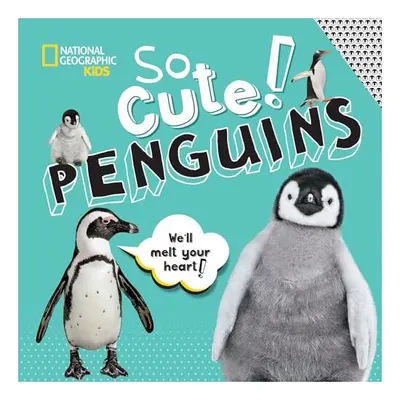 So Cute! Penguins