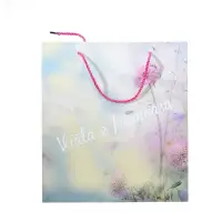 Punga de cadou multicolora cu mesaj