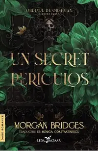 eBook Un secret periculos. Seria Ordinul de obsidian. Cartea 1
