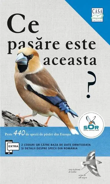 Ce pasăre este aceasta? - Paperback brosat