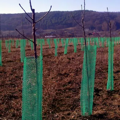 Plasă protecție pomișori Diametru 14 cm x 25 m