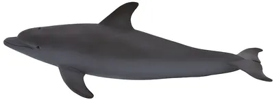 Figurina Mojo Sealife - Delfin