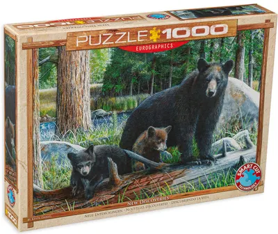 Puzzle Eurographics din 1000 de piese - Noi descoperiri, Kevin Daniel