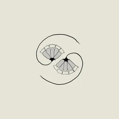 G_d's Pee At State's End! (Vinyl 12" + Vinyl 10")