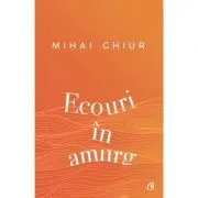 Ecouri in amurg