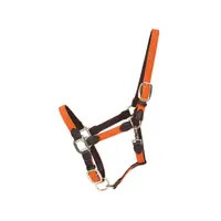 Kentucky Gevlochten Nylon Halster Oranjee -
