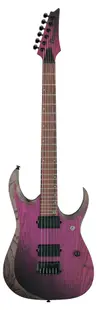 Chitară electrică Ibanez - RGD621AH, Midnight Shade Flat