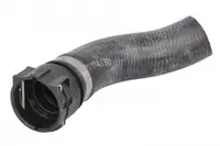 Furtun radiator superior (31mm 31mm) potrivit VW CALIFORNIA T6 CAMPER, MULTIVAN T6, TRANSPORTER T6, TRANSPORTER T6 CARAVELLE T6 2.0D 04.15-08.24