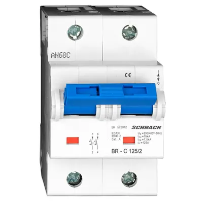 Intreruptor automat C125/2