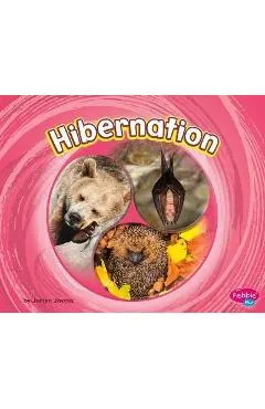 Hibernation