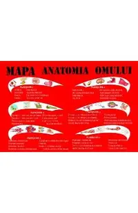 Mapa anatomia omului