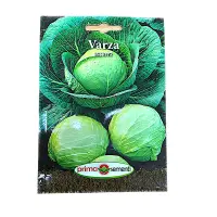 Seminte varza Istrita 0,8 gr, Prima Sementi - Default Title