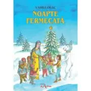 Noapte fermecata