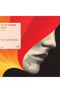 VINIL: Ce-am pierdut in foc