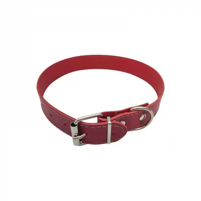 Zgarda din piele pentru caini Nr.4 Petro 2,9 x 60 cm