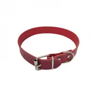 Zgarda din piele pentru caini Nr.4 Petro 2,9 x 60 cm