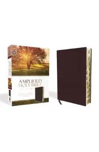 Amplified-Am: Captures the Full Meaning Behind the Original Greek and Hebrew