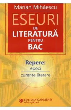 Eseuri de literatura pentru BAC