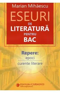 Eseuri de literatura pentru BAC
