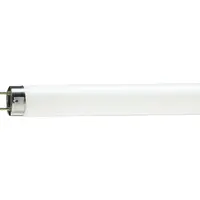 Tub Fluorescent TL-D Food 1M 36W