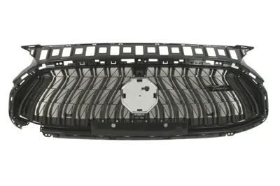 Grila radiator potrivit MG HS I AS23 09.20