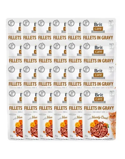 BRIT Care Fillets in gravy Set hrana umeda pentru pisici, cu rata in sos 24 x 85 g