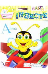 Baita