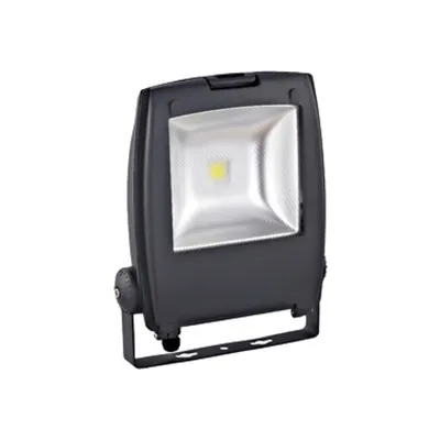 Floodlight Gambettola Pro 50W 6500K anthracite (RAL7016)