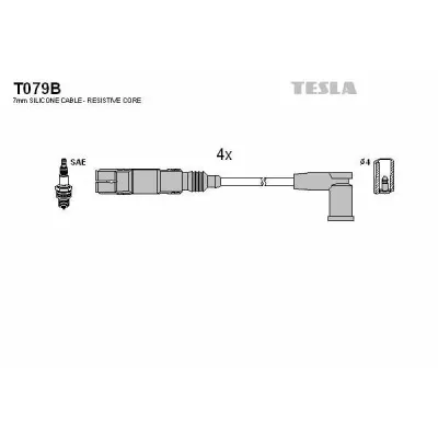 Set cablaj aprindere TESLA T079B