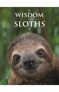 Wisdom of Sloths