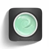 Liquid Polygel 2M Hema Free No Filing - Macaron 03 Soft Green - 15gr