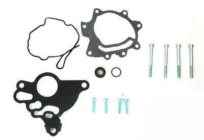 Set Reparatie Pompa Vacuum Audi A3, A4, A6; Seat Altea, Altea Xl, Leon, Toledo Iii; Skoda Octavia Ii, Superb Ii; Vw Golf Plus, Golf V, Jetta Iii, Passat, Touran 2.0 2.0d 3.0d Dupa 2003