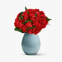 Buchet cu garoafe rosii