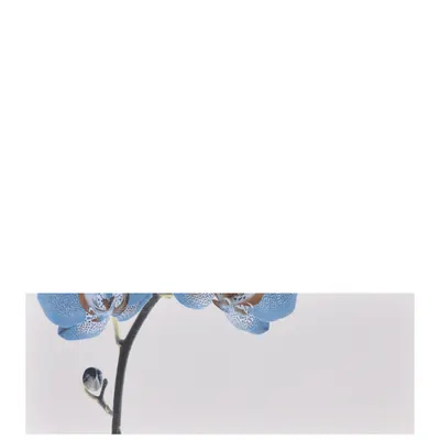 Faianta decorativa 1015 HL 3 20 x 60
