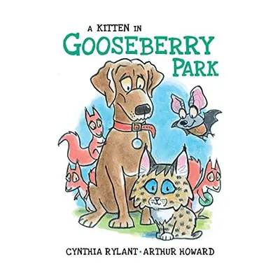 Kitten in Gooseberry Park