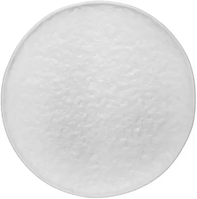 Farfurie de porțelan Horecano - North, Ø29.3 cm, alb