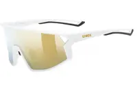 uvex skyryse 8816