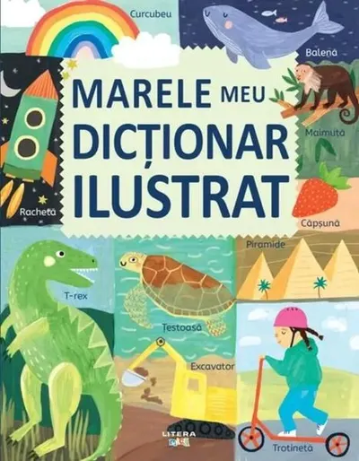 Marele meu dicționar ilustrat - Hardcover - ***