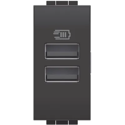 Incarcator usb 1 modul 2 usb tip A+A Bticino Living Light L4191AA, antracit