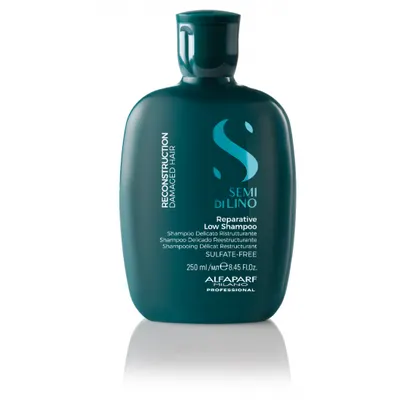 Sampon Reconstruction Reparative, 250ml, Alfaparf Milano Professional