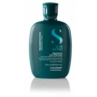 Sampon Reconstruction Reparative, 250ml, Alfaparf Milano Professional