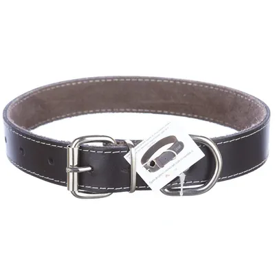 Zgarda din piele, neagra, pentru caini de talie medie, 3 cm x 60 cm