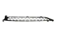 Grila bara fata Superior, plastic, negru, potrivit CITROEN C4 GRAND PICASSO I, C4 PICASSO I 2006-2013 2006-2013