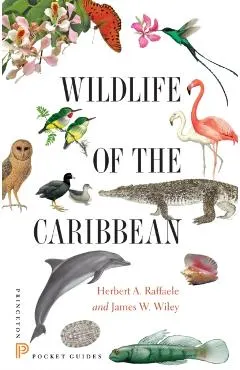 Wildlife of the Caribbean