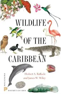 Wildlife of the Caribbean