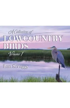A Collection of Lowcountry Birds