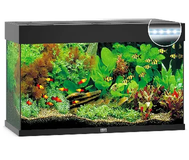 Juwel Acvariu Led Rio 180 Negru