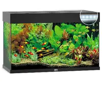Juwel Acvariu Led Rio 180 Negru