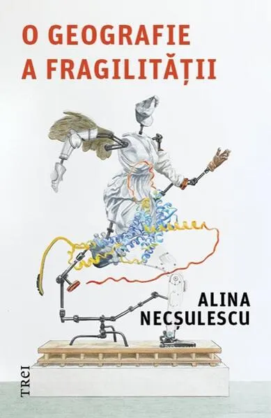 O geografie a fragilității - Paperback brosat - Alina Necșulescu